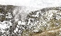 ۸ جای زمین که گرانش در آن‌جا کار نمی‌کند!