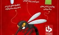 چه کنیم تا پشه‌‎ها نیشمان نزنند؟