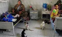 اینجا بیمارستان است! +عکس