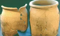 رژیم غذایی مردم قرون وسطی کشف شد