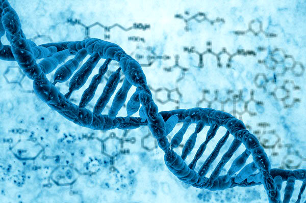 توسعه قطعه‌ای الکترونیکی با DNA