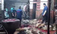 سگ‌ کشی هولناک این بار در چین! +عکس