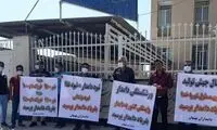 تلف شدن دام‌ها در خوزستان به دلیل گرانی خوراک