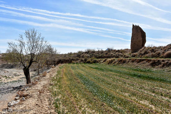 برج های کبوتر شهرستان دهاقان