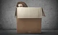 تست کم‌رویی؛ تا چه اندازه خجالتی هستید؟