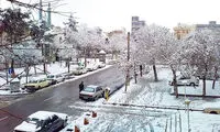 نازی آباد؛ خاستگاه چهره های سیاسی، ورزشی و هنری
