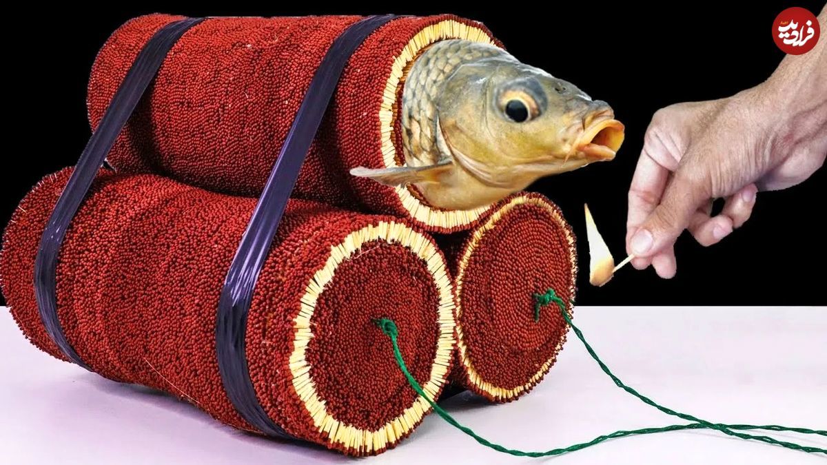 پخت دیدنی ماهی کپور با 50 هزار چوب کبریت