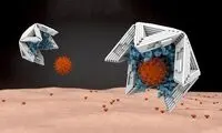 عقیم کردن ویروس‌ها با محبوس کردن آنها!