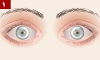 حقایقی جالب درباره بدن انسان که ۵ دقیقه قبل نمی‌دانستید