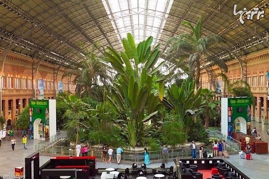 باغ گیاه شناسی داخل ایستگاه قطار مادرید