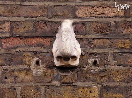 راز بینی های دیوارهای لندن
