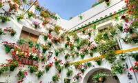 جشنواره ای پر از گل در اسپانیا +عکس