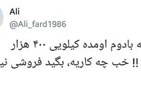 چاقاله بادام کیلویی ۴۰۰ هزار تومان شد