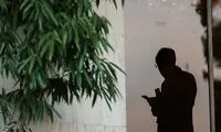 عکسی جالب از حاشیه جلسه هیات دولت
