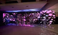 هنر و مراقبه با استفاده از دکمه! +عکس