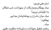 توئیت وزیر ارشاد درباره حیوان آزاری