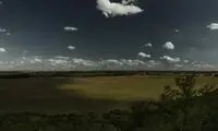 دنیا بدون انسان مکان زیباتری است!