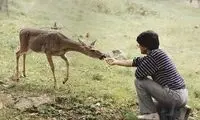 عکسی دیده نشده از محمدرضاشجریان