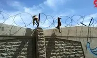 ماجرای حلق‌آویز کردن بچه روباه‌ها در کمالشهر