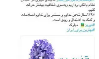 سیف: توانستیم غده چرکین موسسات غیرمجاز را درمان کنیم