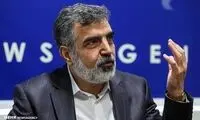 کمالوندی: ۲۵ تُن UF۶ تولید کرده‌ایم