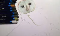 نقاشی‌هایی که کمتر از عکس نیست