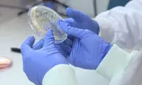 دستکش میکروب‌کش ساخته شد