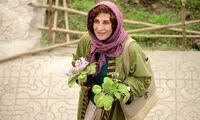 فاطمه معتمدآریا مسافر «وزول» شد