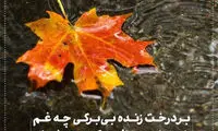 مینی شعر (191)