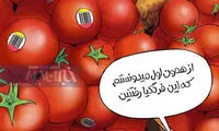 کارتون؛ از اولش هم معلوم بود اینا رفتنی هستن