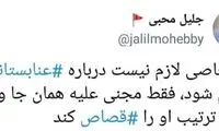 جلیل محبی: نماینده خاطی را مجازات قرآنی کنید