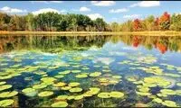 پشت‌پرده ترسناک سند زنیِ تالاب‌ها