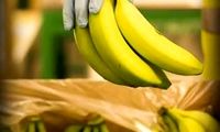 قیمت هر کیلو موز در بازار، ۵۵هزار تومان!