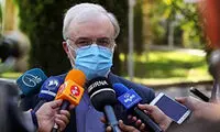 نمکی: رهبری درباره واکسن وارداتی منعی نداشتند