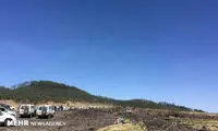 سقوط هواپیمای خطوط هوایی اتیوپی‎