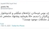 کنایه رشیدپور به میتینگ خبرساز یک کاندیدا