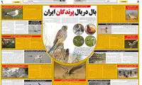 اینفوگرافی: بال در بال پرندگانِ ایران