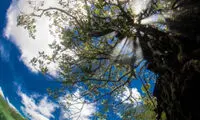 عکس برنده مسابقه عکاسی DEEP را ببینید