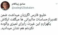 واکنش زیباکلام به حمایت ها از نام خلیج فارس