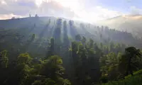 تابستان‌گردی در طبیعت زیبای ماسال