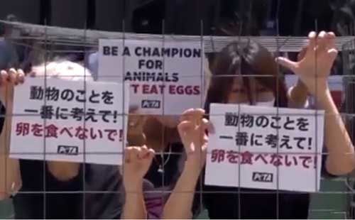 درخواست عجیب از المپیکی‌ها؛ تخم مرغ نخورید!