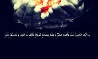 آزاده نامداری: مرا عفو کنید