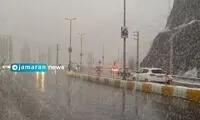بارش برف، تهران را سفیدپوش کرد