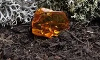 خواص دارویی کهربا در برابر بیماری‌های صعب‌العلاج