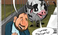 کاریکاتور؛ صدای گاوها هم درآمد