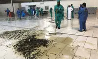 هجوم صد‌ها هزار ملخ به مکه