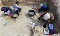 کشف قدیمی‌ترین گورستان حیوانات خانگی در مصر