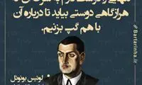 هایلایت (397)