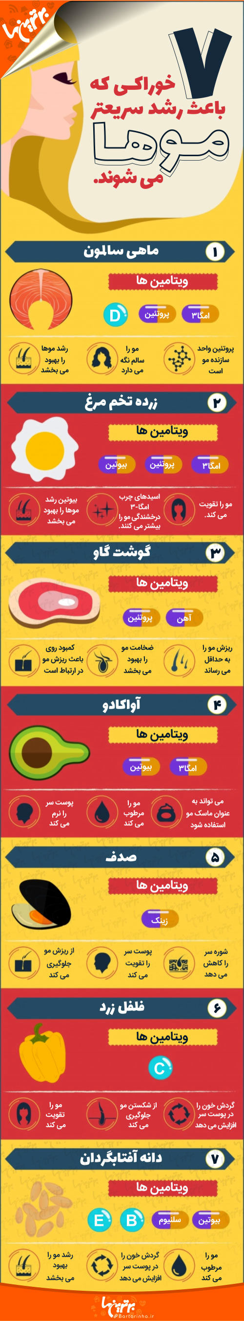 اینفوگرافی؛ ۷ خوراکی که باعث رشد سریعتر موها می‌شوند