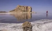 تیشه بر جان دریاچه ارومیه با از سرگیری سدسازی